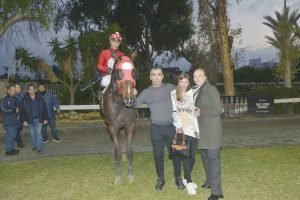 MIKROS ARTEMIS STK3931