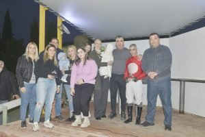 MIKROS ARTEMIS STK3942