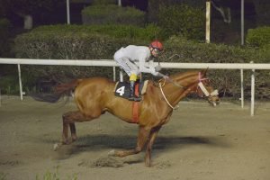 MULTIMILLIONAIRE STK3635