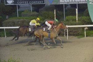 RAMSIS 24.1.24 STK4044