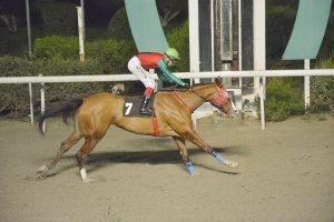 SANTI FIRENZE STK3822