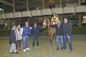 SIR LANCELOT STK3975