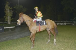 SIR LANCELOT STK3978