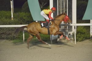 VERIA 24.1.24 STK4054