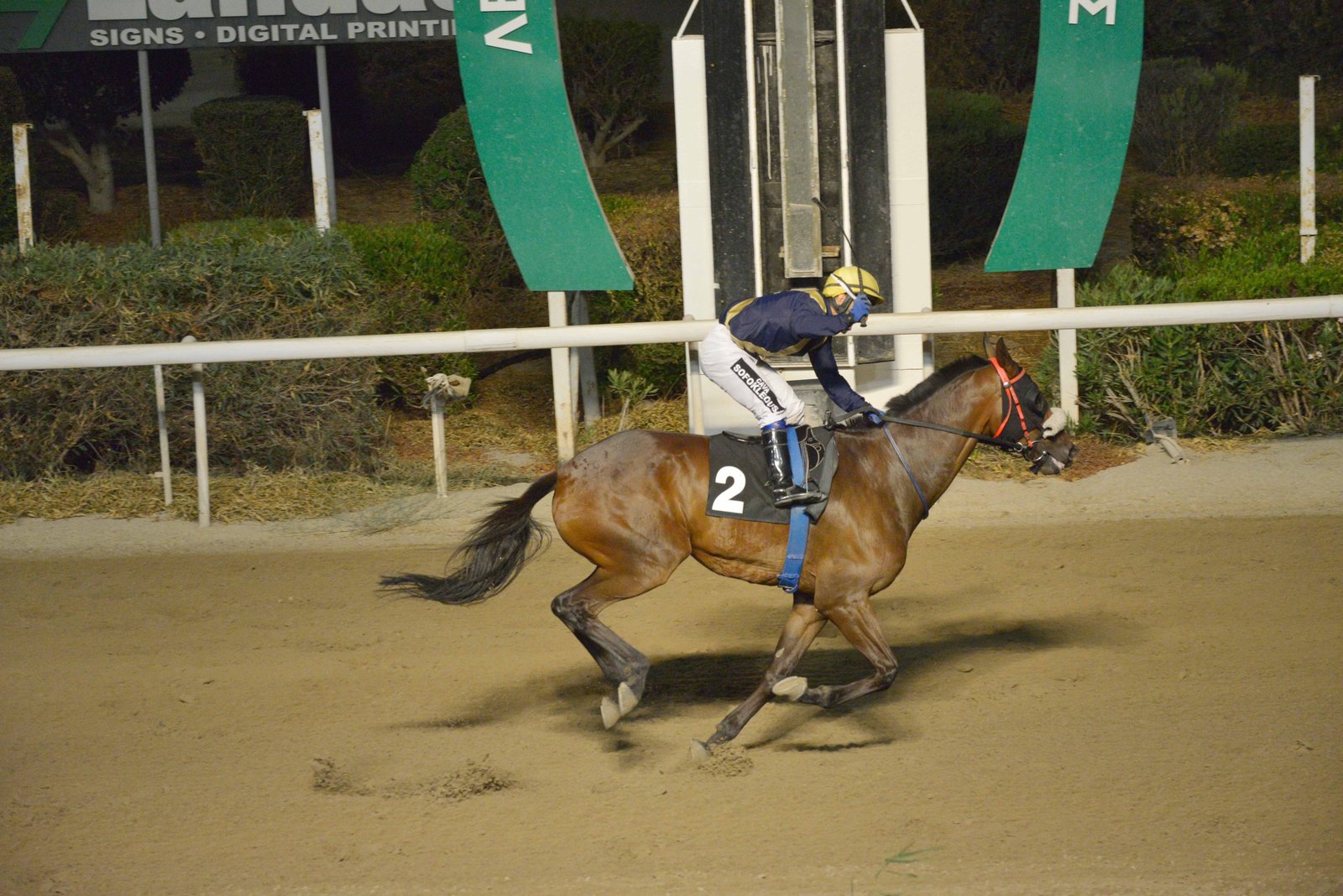 Υποβιβάστηκαν τρία άλογα 1 WEB SIR JACK 4 05072020 scaled