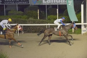 ΑPROSPELASTOS STK3787