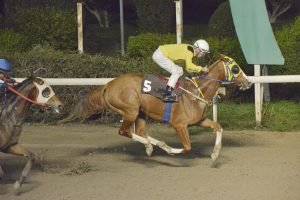 ΚOZA NOSTRA STK3803