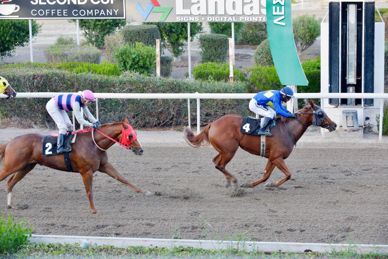 Σκορ 5-2 υπέρ των κυπριακών στο Κύπελλο 28ης Οκτωβρίου 1 ANDROMACHI KYPELLO 28 OKTOVRIOU STK0717 scaled