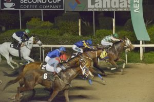 Ο Παστέλλο κατέκτησε εύκολα και το “Λιμνιά” 7 BELLEAIR STK4553