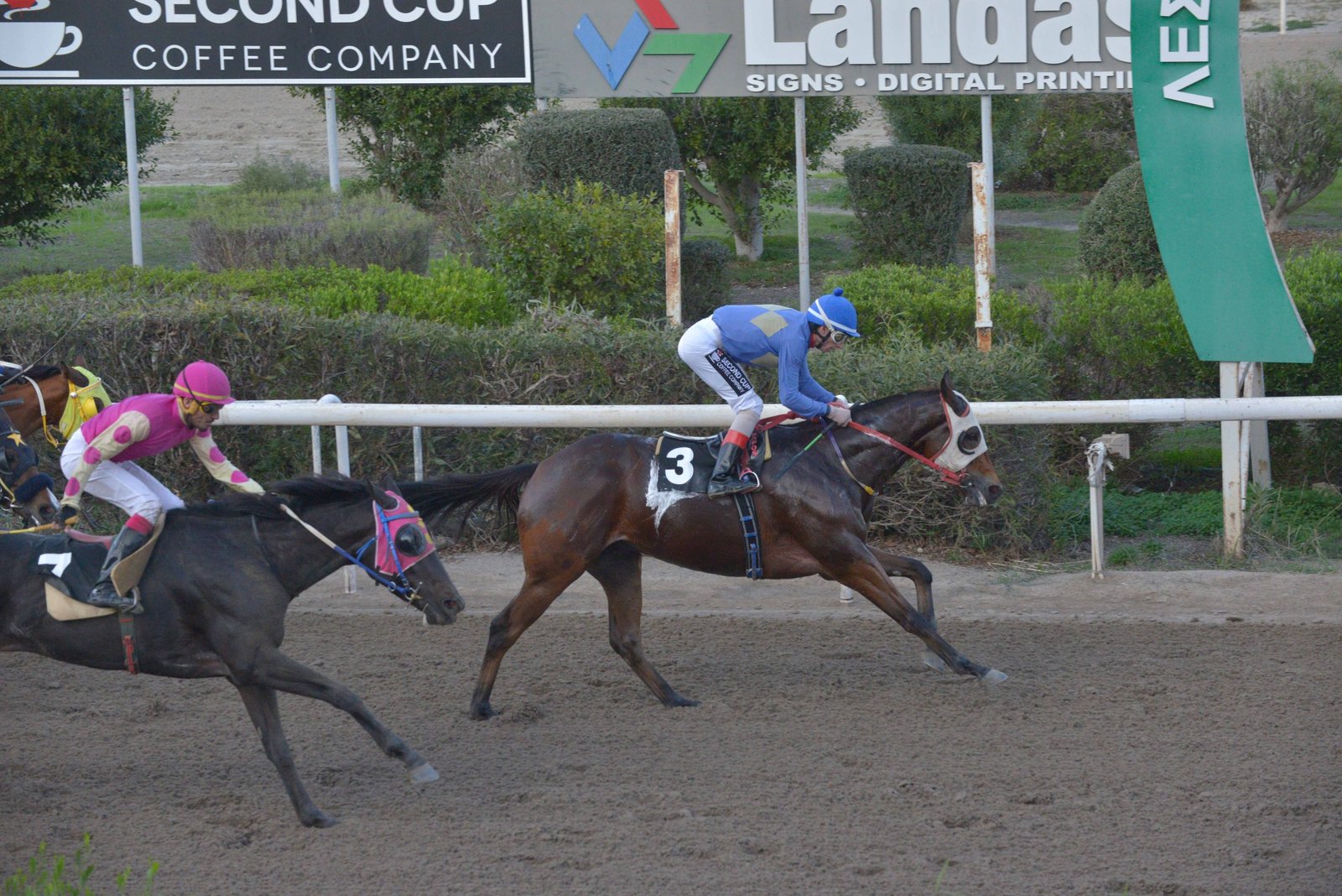 DIOKLIS STK2741 scaled