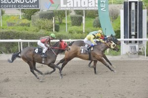 Ο Παστέλλο κατέκτησε εύκολα και το “Λιμνιά” 2 INSOMNIA STK4497