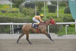 IOULIANA 21.2.24 STK5406