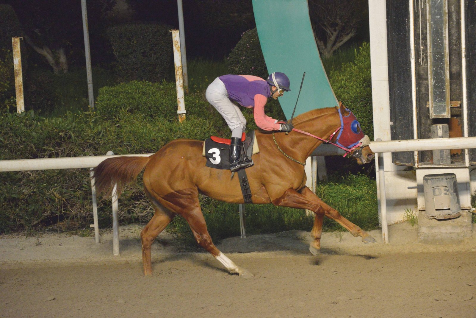 KOUTSIAS STK5675 1 scaled