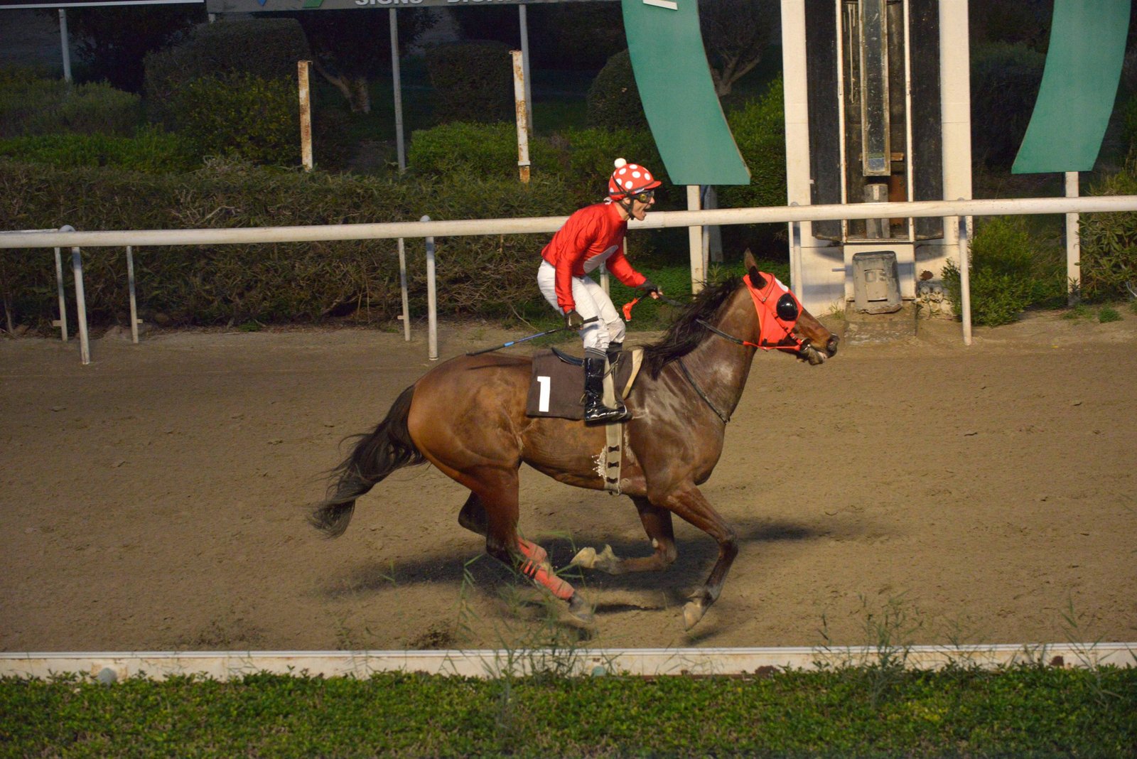 Πάει για χατ τρικ ο Μικρός Αρτέμης 1 MIKROS ARTEMIS STK3919 1 scaled