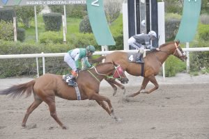 MULTIMILIONER 11.2.24 STK4419