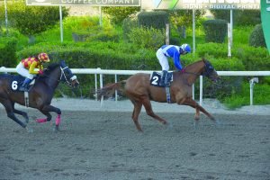 Ούτε τα 65.5 κιλά σταμάτησαν τον Παστέλλο 2 NAPOLEON STK5603