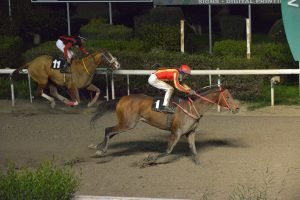 NTOUKA KAKIS STK4300