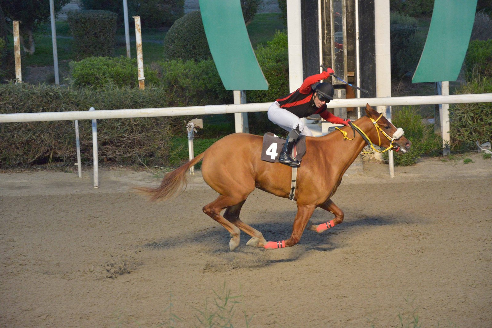 ROUA MAT 26.12 scaled