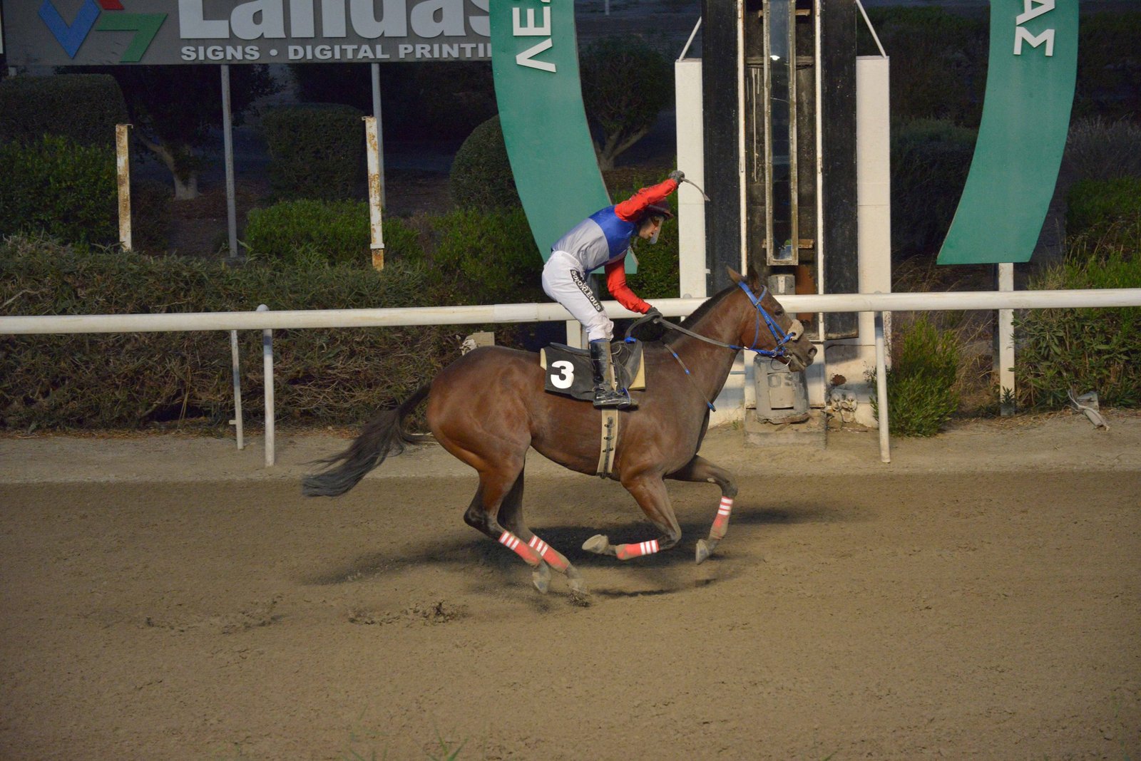 SATISFACTION STK1762 scaled