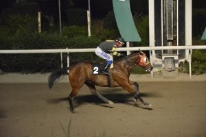 CHALIMBALAK 27.3.24 STK6481