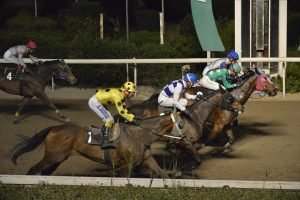 DIAMOND IASONAS 27.3.24 STK6490