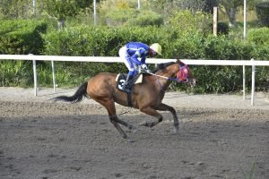 ERYXIMACHOS 27.3.24 STK6430