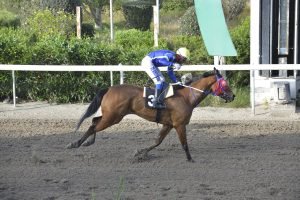 ERYXIMACHOS 27.3.24 STK6431