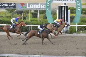 I WILL DO IT MAY WAY 16.3.24 STK6173