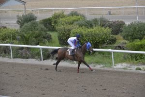 MAKROS MANTZIPAS 16.3.24 STK6181