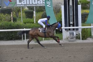 MAKROS MANTZIPAS 16.3.24 STK6182