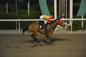 MANTIS TIRESIAS 16.3.24 STK6213