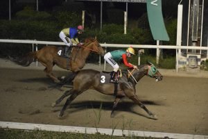 MY WISDOM 27.3.24 STK6472