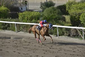 SAVITAR 27.3.24 STK6410