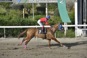 SAVITAR 27.3.24 STK6411