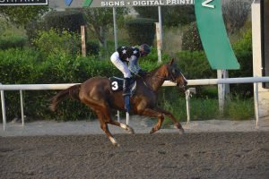 SIDIRA KYRIA 27.3.24 STK6452