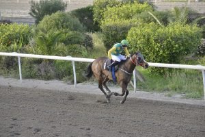 THEOGKLASS 27.3.24 STK6440