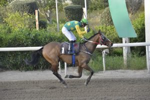 THEOGKLASS 27.3.24 STK6442