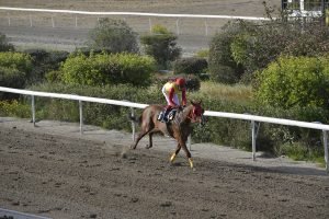 VERIA 27.3.24 STK6422