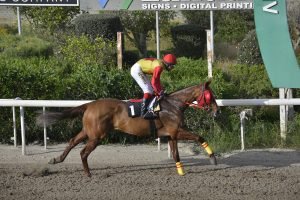 VERIA 27.3.24 STK6423