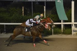 VITTIS VASILEVOUSA 27.3.24 STK6460