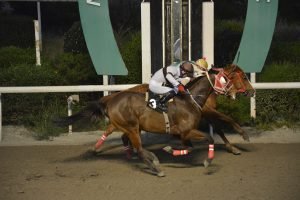 VITTIS VASILEVOUSA 27.3.24 STK6461