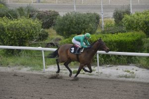 hawaii boss 16.3.24 STK6152