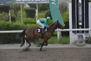 hawaii boss 16.3.24 STK6153