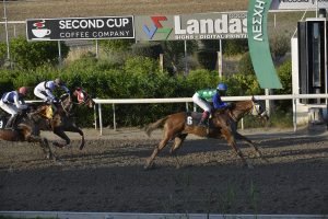 AGEROCHOS 10.4.24 STK6853