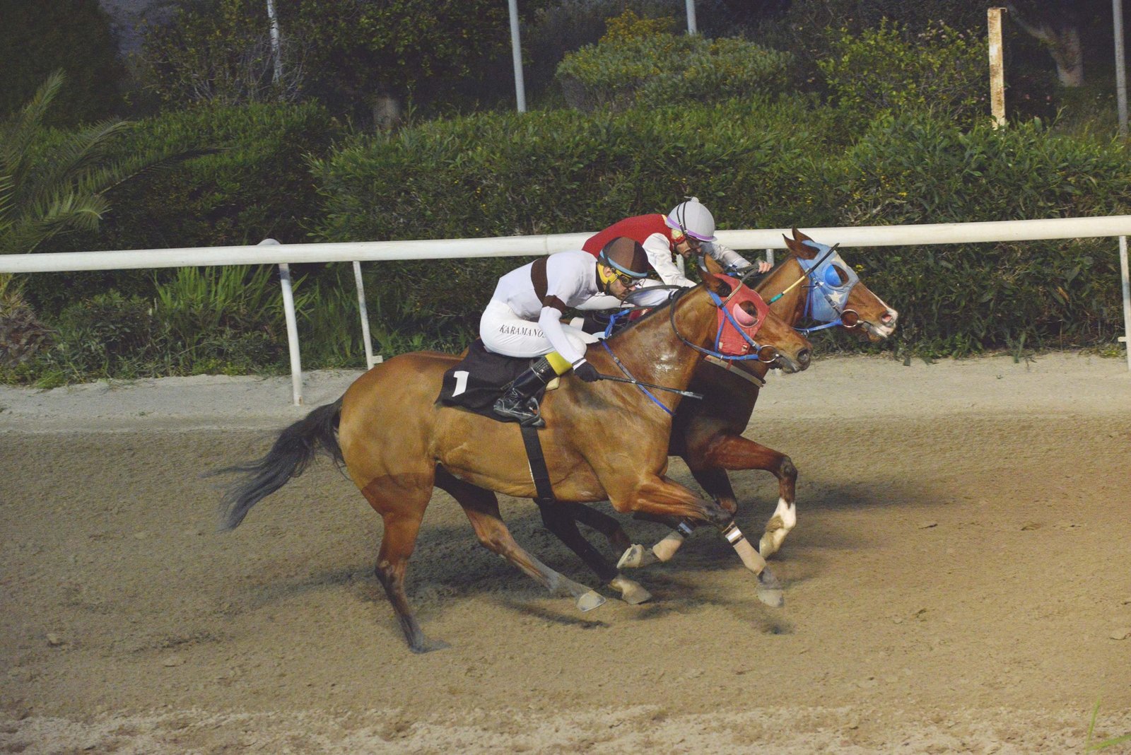 Άλλαξαν ιδιοκτησία 7 άλογα 1 EFPATRIDIS STK6383 scaled