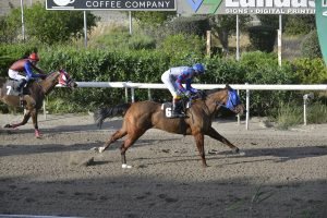 ELISAVET MANTZIPA STK6668