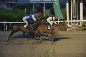 ERESOS 10.4.24 STK6875