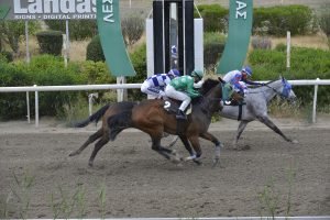 EROS 10.4.24 STK6831