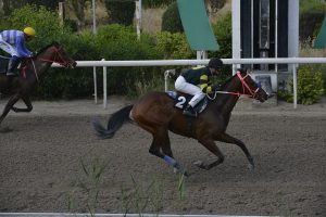 FOTINOS 10.4.24 STK6826