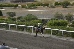 GIORKATSOS 10.4.24 STK6809